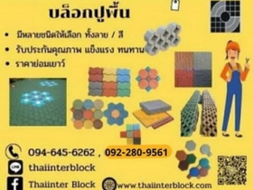 บล็อกตัวหนอน บล็อกแปดเหลี่ยม บล็อกปูหญ้า แผ่นทางเท้า