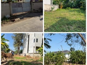ขายที่ดิน 6 ไร่ 69 ตร.ว. ที่ พหลโยธิน35 แยก19 ซ.สังข์ทอง 9