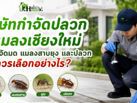 บริการกำจัดปลวก