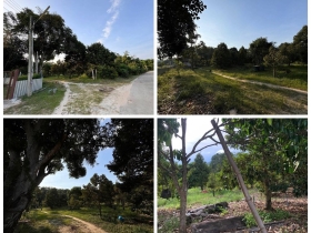 ขายด่วน ลดราคา ที่ดินสวนทุเรียนเมืองระยอง วิวภูเขา ติดแหล่งน้ำ