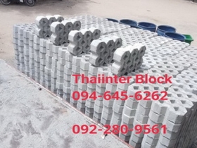 แผ่นทางเท้า บล็อกตัวหนอน บล็อกแปดเหลี่ยม บล็อกปูหญ้า