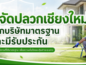 บริการกำจัดปลวก